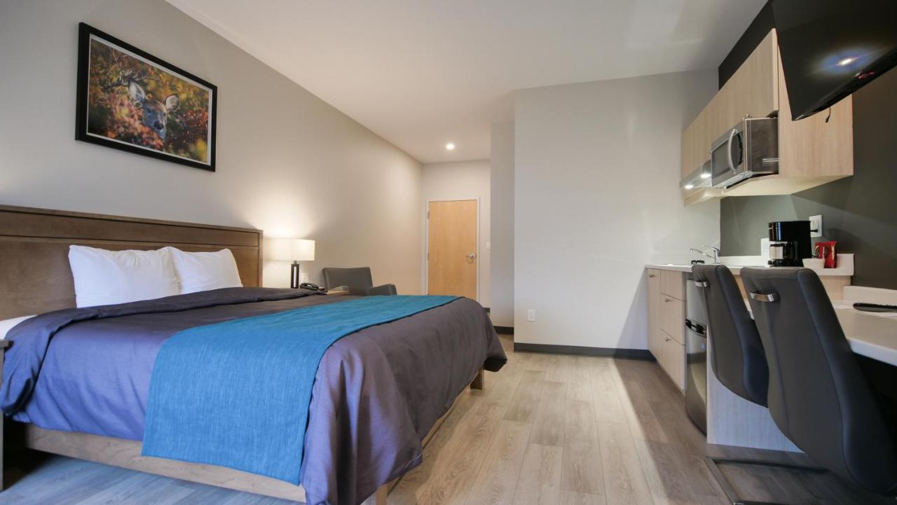 Motel L'Abri Carleton-sur-Mer Екстериор снимка